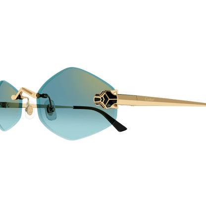 Lunettes Cartier CT0433S-003