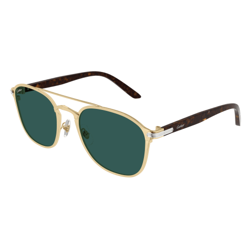 Lunettes de soleil CT0012S-006
