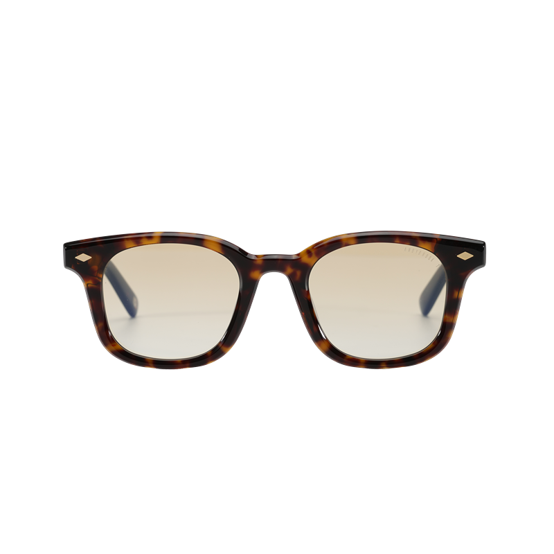 Lunettes de soleil Andy Brook Ryder C47ZY Photochromiques