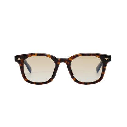 Lunettes de soleil Andy Brook Ryder C47ZY Photochromiques