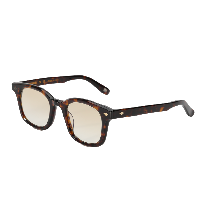Lunettes de soleil Andy Brook Ryder C47ZY Photochromiques