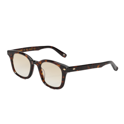 Lunettes de soleil Andy Brook Ryder C47ZY Photochromiques