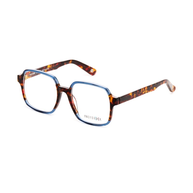 Lunettes de vue Andy Brook Tali C154 Bleu translucide / havane marron profil